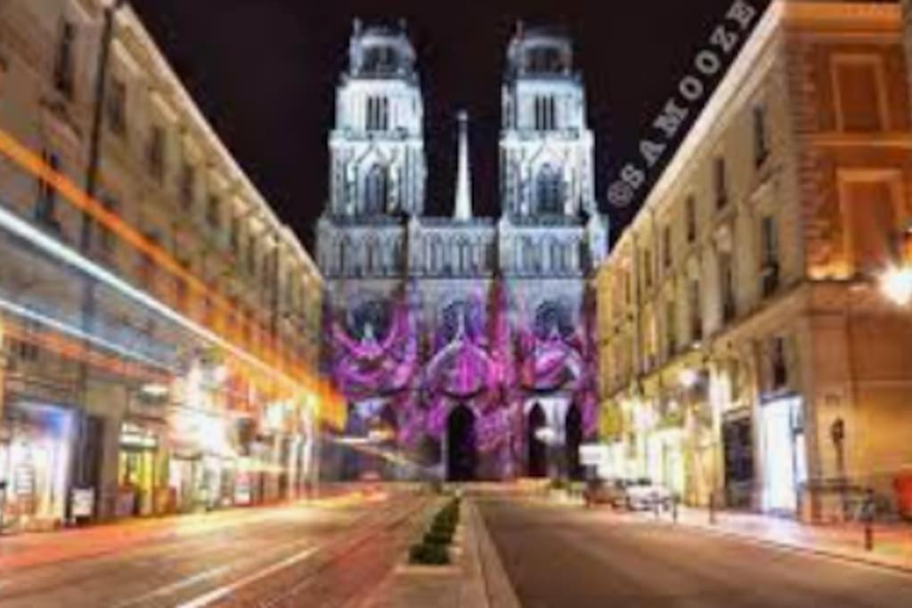 Chaleureux Appart, Proche De La Loire Avec Parking Orléans Buitenkant foto
